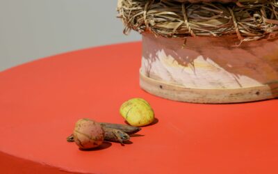 DE LA KOLA À L’AVENIR